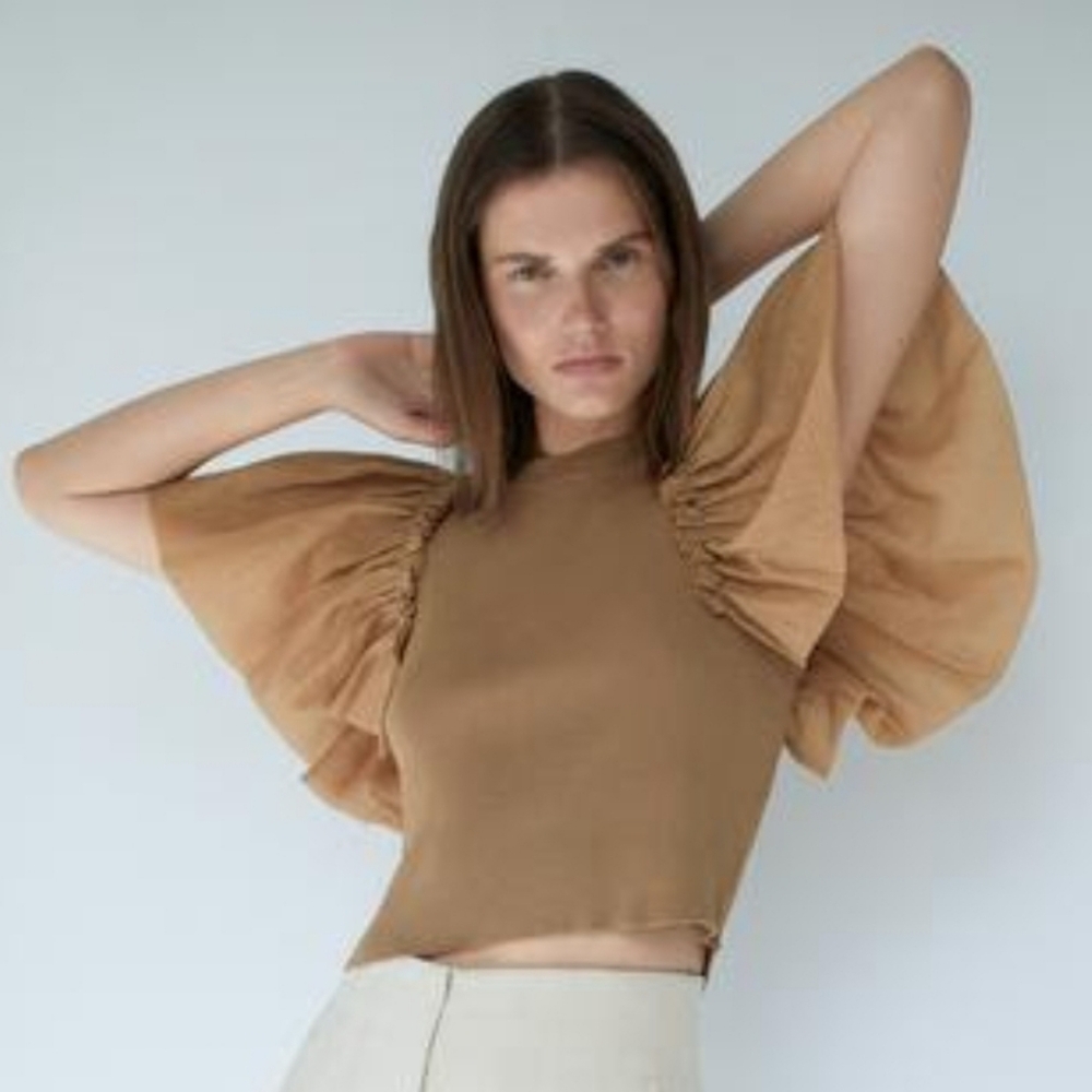 Zara Light Brown and Gold Fitted Top With Organza Sleeves Size M